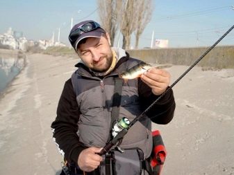 лучший спиннинг для мормышинга рейтинг. Смотреть фото лучший спиннинг для мормышинга рейтинг. Смотреть картинку лучший спиннинг для мормышинга рейтинг. Картинка про лучший спиннинг для мормышинга рейтинг. Фото лучший спиннинг для мормышинга рейтинг