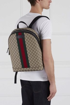 Обзор мужских рюкзаков Gucci