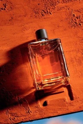 Описание мужской парфюмерии Hermes