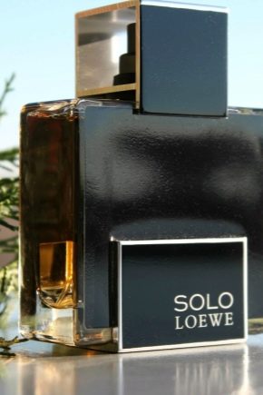 Описание мужской парфюмерии Loewe