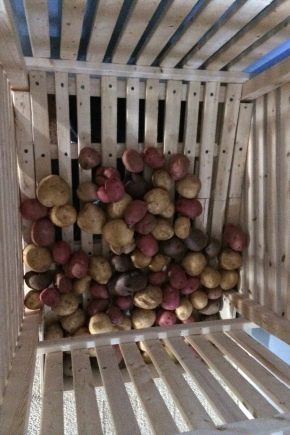Как хранить картофель на балконе?