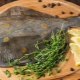 Отличия камбалы от ерша
