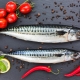 Чем отличается макрель от скумбрии?
