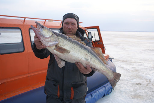 Поход 2014 года. Волга -2 - Шхера Нерпа - LiveJournal